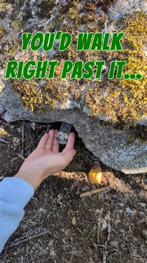 Geocaching | 🐌🌿 Nature has secrets hidden everywhere 🌿🐌 Can you spot the caches before they’re revealed? 🪵 Video: In the first scene, a geocacher... | Instagram