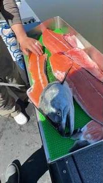 One of the best-eating fish swimming in the Pacific Northwest.