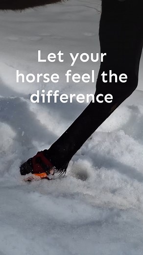 2.2K views · 12 reactions | This is the solution for horse riding in...