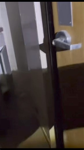 8.8K views · 246 reactions | Walk through this abandoned hospitals basement with us! Would you be brave enough to walk through?  | The Paranormal Couple | Facebook