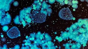 Epidemiology - Online short course