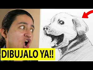 🥇 COMO 🅳🅸🅱🆄🅹🅰🆁 UN PERRO FACIL paso a paso REALISTA y rápido ✅ Dibujos de Perros a lápiz