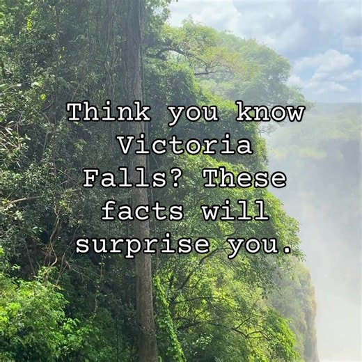 Think you know Victoria Falls? 🌍 Watch these amazing facts and discover why this natural wonder is truly one of a kind! From roaring waterfalls to misty rainforests, Victoria Falls is full of surprises. ✨ Plan your trip, explore activities, and see this incredible wonder for yourself! Visit Victoria Falls Frontiers today. #Luxurytravel#Africansafari#Adventuretravel#Bucketlisttravel #creatorsearchinsights