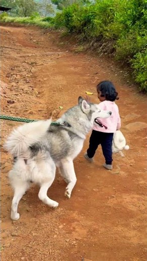 Maahi & Juno Walk Through the Tea Estate 🐾