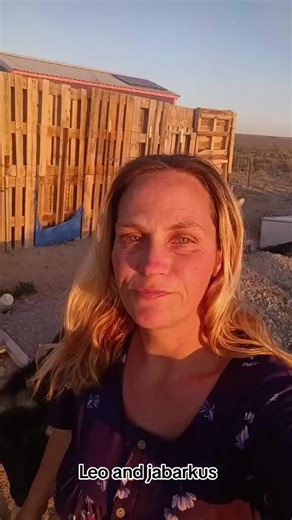 Off grid living with Stacy (@offgridwithstacy)’s videos with If They Come Lookin' - Zach Bryan