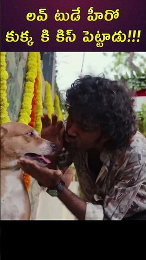 Pradeep ranganathan కుక్క కి కిస్ పెట్టాడు!!! #pradeepranganathan #dude #telugu #mytrimoviemakers