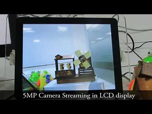 iMX6 Development Board running Linux Ankaa - Demo