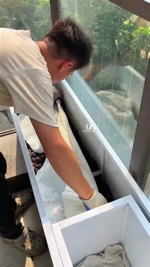 Create a healing tropical garden on your balcony #SpaceDesign #gardendesign #garden #plants