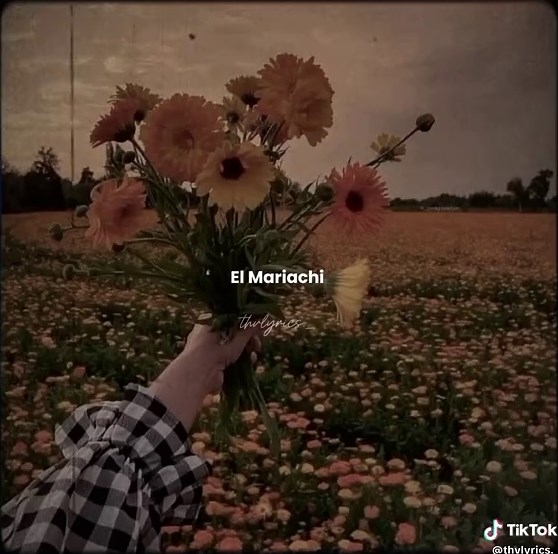 Airplane Pt. 2 Lyrics by BTS: Complete Translation