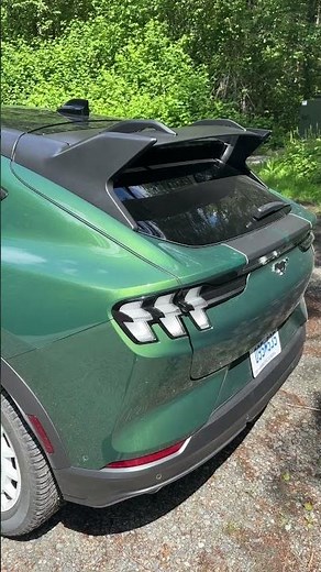 The Dirt-Slinging Mustang Mach-E Rally