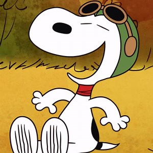 The Snoopy Show