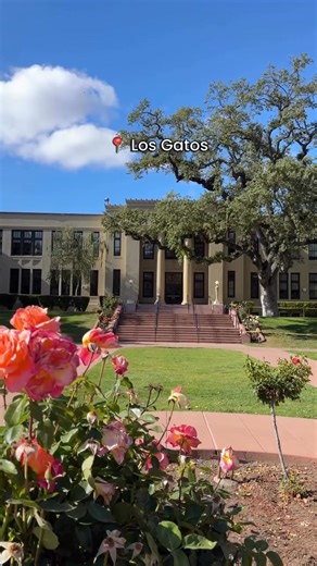 631K views · 11K reactions | Los Gatos gets better and better each...