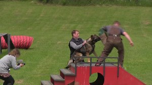 257K views · 4.2K reactions | Obedient Protection https://kraftwerkk9.com/2017/05/kimon-vom-silvano/ | Kraftwork K9 Pro German Shepherds | Facebook