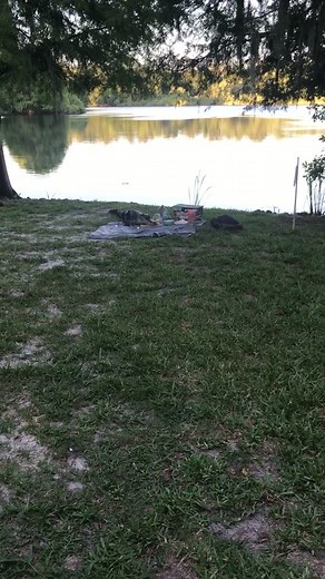 Crikey! 🐊 The boys on View From Down Undah invited a special guest to review this beast of a fail. Link in bio!