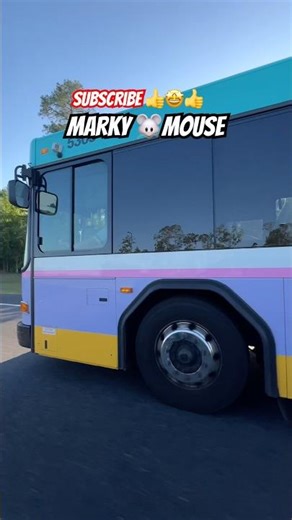 🚧🚌🚧💥Bus, buses, Disney Bus, Bus driving, Bus Driver #bus #gillig #nova #newflyer #wow #amazing