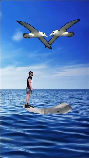 Sound effects: credits to Uncle Dijon