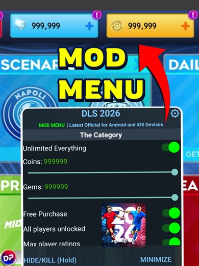 DLS 26 MOD MENU Tutorial