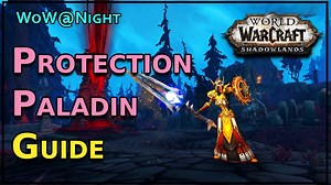 Protection Paladin Guide