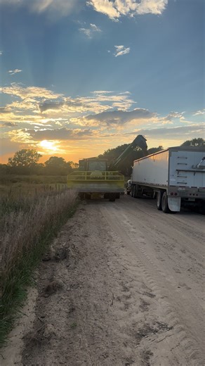 11 reactions |  Harvest nights, unloading grain sorghum that will soon feed our cattle. From soil to sunset, every step matters.  #EarthToTable #regenerativefarming #climatesmartbeef | Earth To Table LLC | Facebook