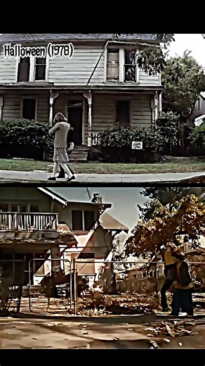 Exploring Halloween Films: From 1978 to 2007