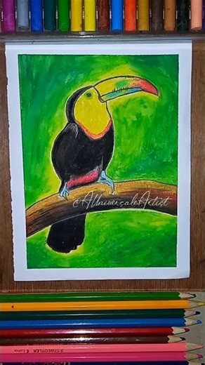 Beautiful Toucan Bird 💛🍀 #shorts