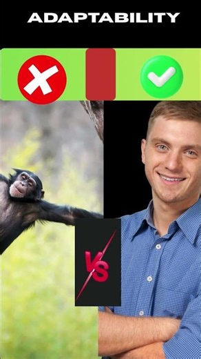 Humans vs Chimps - Battle of Primates - battle #4 #shorts #whowouldwin #humansvschimpanzees