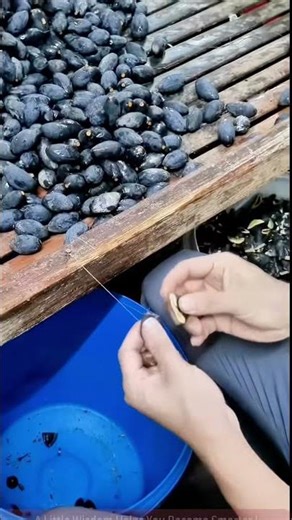 Sharing Methods for Pitting Olives