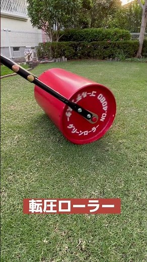芝刈りと転圧ローラー 芝生観察5月17日