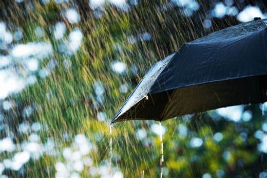 Surrey's weekend weather forecast: Rainy conditions expected throughout - The Weather Network
