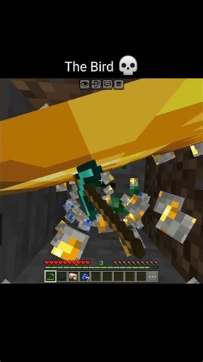 Minecraft Parrot Moment ☠️#minecraftshorts #minecraft #gaming