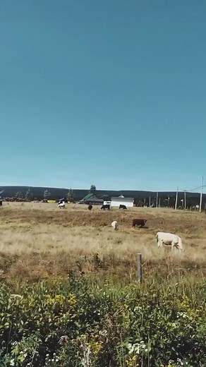 Exploring the Beauty of Chinecto Loop Hike