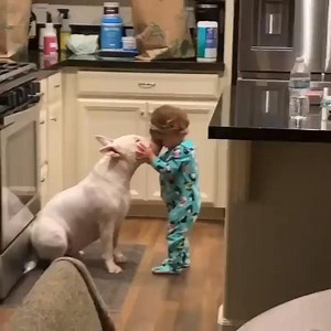 There’s nothing stronger than the bond between a dog and its human❤️ | The Animal World