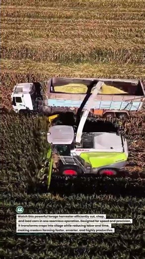 High-Speed Forage Harvester in Action 🌽 #AgriTech #Farming #Harvest