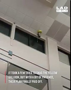 These guys had a genius method for rescuing a trapped balloon... 😂 | STUDENTbible