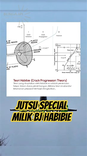 Inilah alasan kenapa pak Habibie mendapat julukan Mr. Crack #banaraslitfest #youtubeshorts