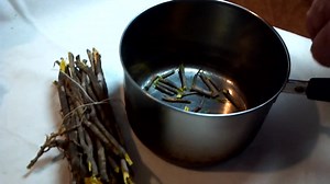 Yellowroot Bundles Dried Herb Xanthorhiza Simplicissima Natural Antibiotic, Appalachian Remedy - Etsy