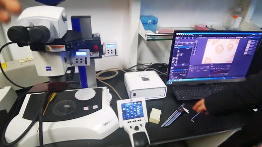 【自用】ZEISS蔡司软件介绍（含环形光、荧光以及录像教程）