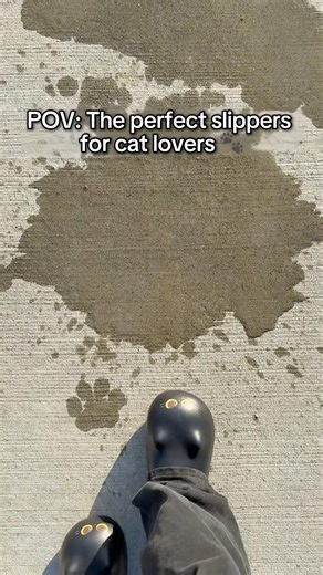 Perfect slippers for cat lovers 🥹🖤