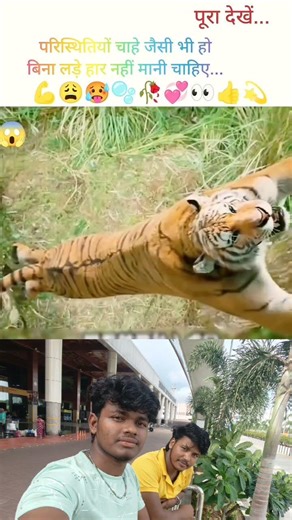 sher aur Aadmi ki jang..#shortvideo #trendingshorts #youtubeshorts #ytshorts