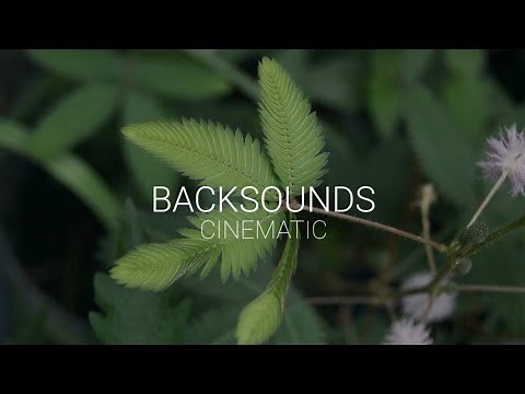 Backsound Music Cinematic Alam No Copyright /(Free To Use)