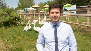 2.5K views · 38 reactions | 麗 Please find our visitor charter on the following link: www.blueplanetaquarium.com/the-health-and-safety-visitor-charter/ | Blue Planet Aquarium | Facebook