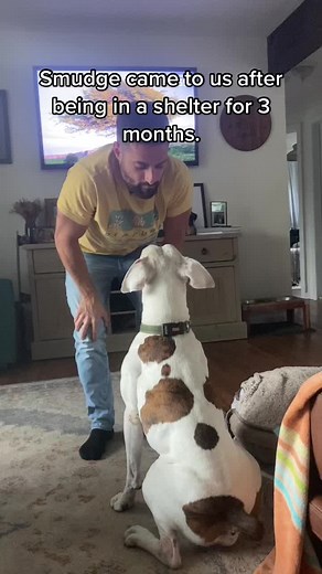 save__smudge on TikTok