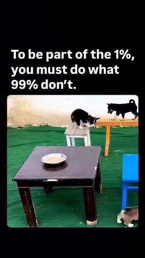 A big lesson to learn here | Ada Obodo