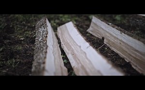 English longbow making