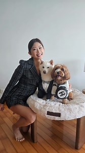 am i a crazy dog mom | Emi Wong