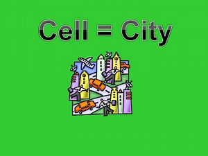 Cell = City - SlideServe