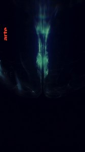 Wo sind die Intelligenzbestien unter euch? Wir Menschen gehen davon aus, dass unser hochentwickeltes Gehirn uns überlegen macht. Doch wenn man sich unter den anderen Arten umschaut, stellt man fest, dass auch sie hochentwickelte Fähigkeiten haben. So vollbringen beispielsweise Kraken mit ihren Gehirnen wahre Meisterleistungen. Selbst Pflanzen kommunizieren miteinander. Auch Sozialfähigkeiten wie das Langzeitgedächtnis sind bei zahlreichen Arten zu finden. Unter diesen Umständen sind wir wohl ➡️ 