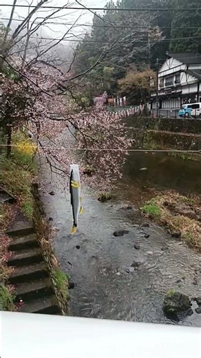 Fukuroda Falls, located in Ibaraki Prefecture, Japan.