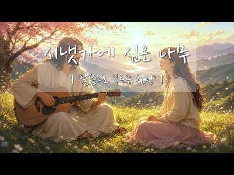 [🎧BIBLE CCM]🧡 시냇가에 심은 나무 | 시 1:1~3 | #CCM #말씀찬양 #은혜찬양 #기분좋은찬양 #어쿠스틱CCM