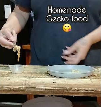 DIY: HOMEMADE gecko food!